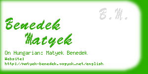 benedek matyek business card